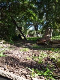 Path up to the driveway