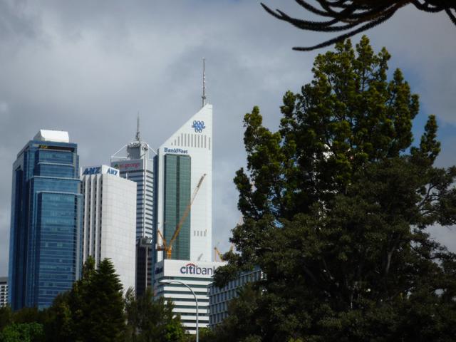 City through trees