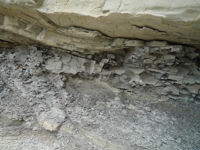 Shale being formed