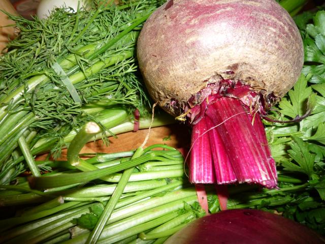 Beetroot