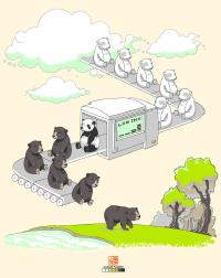 Where pandas come from