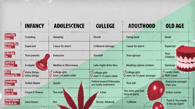 The five stages of your life