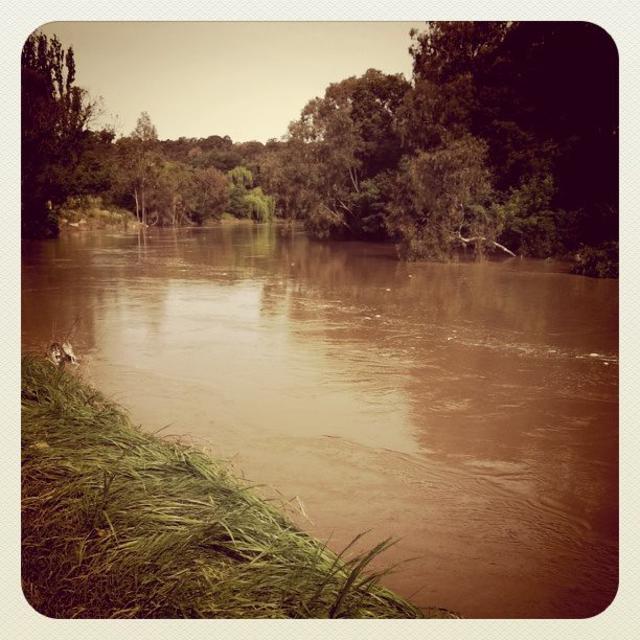 A very full Yarra