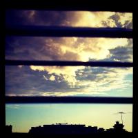 Out my window.