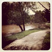 Yarra verra full