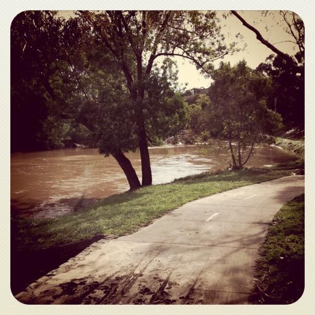 Yarra verra full