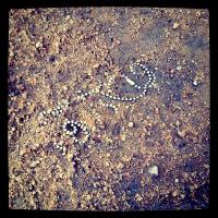 Chain in the sand