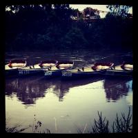 Rubbish floating down the Yarra