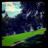 Gorgeous little Torrens