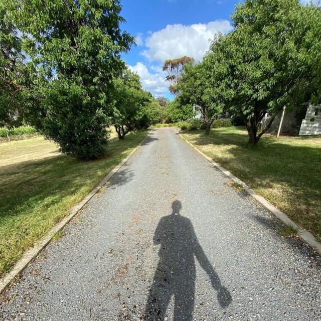 Tea and a country road 