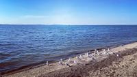 Everybody went to the beach today. 