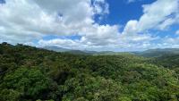 FNQ just being gorgeous all over the place again. 