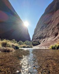 Sunlight on water, after the rain. 