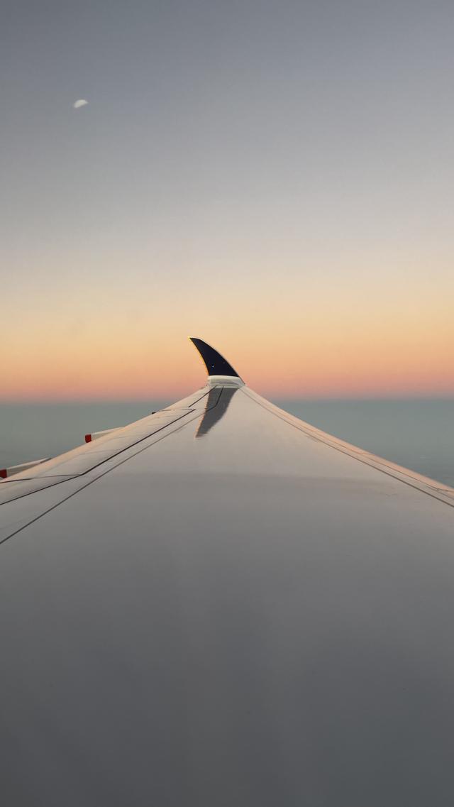 There’s something about a Dreamliner’s wing